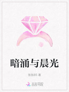 暗涌與晨光在線閱讀