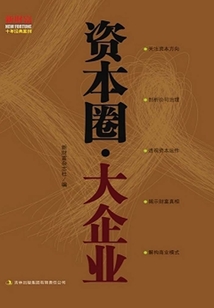 資本圈·大企業