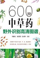 600种中草药野外识别高清图谱