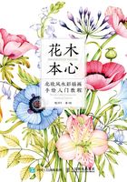 花木本心：北欧风水彩插画手绘入门教程在线阅读