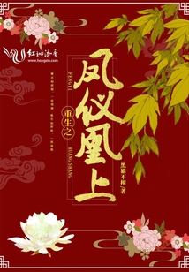 重生之鳳儀凰上