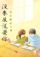 沒來及說愛你在線閱讀