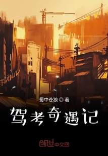 駕考奇遇記