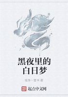 黑夜里的白日梦