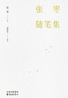 张枣随笔集(增订本)在线阅读