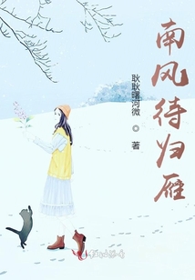 南風(fēng)待歸雁