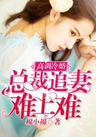 高调冷婚，总裁追妻难上难在线阅读