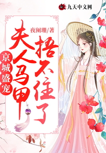 京城盛寵：夫人馬甲捂不住了