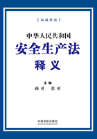 中华人民共和国安全生产法释义