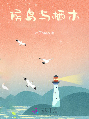 候鸟与栖木在线阅读