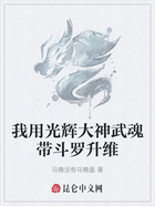 我用光辉大神武魂带斗罗升维在线阅读