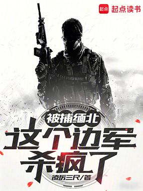 被捕缅北，这个边军杀疯了在线阅读