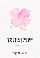 花開(kāi)到荼蘼在線(xiàn)閱讀