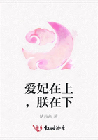 愛妃在上，朕在下在線閱讀