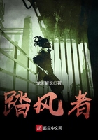 踏風者在線閱讀