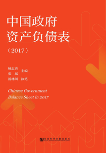 中國政府資產負債表（2017）