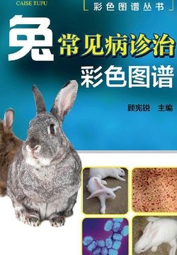 兔常见病诊治彩色图谱 封面
