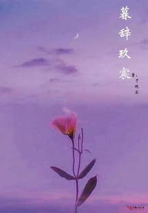 暮辞玖宸
