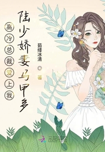 總裁你的高冷呢