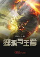 独孤与王者在线阅读
