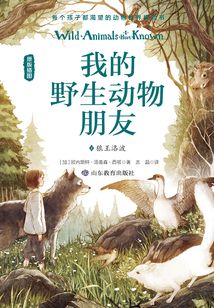 我的野生動物朋友2:狼王洛波