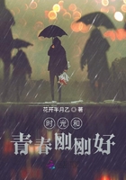 时光和青春刚刚好在线阅读