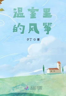 温室里的风筝
