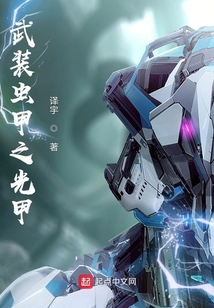 武裝蟲甲之光甲