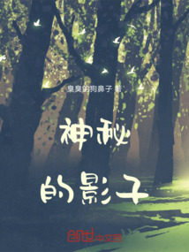 神秘的影子