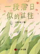 一段落日似的过往在线阅读