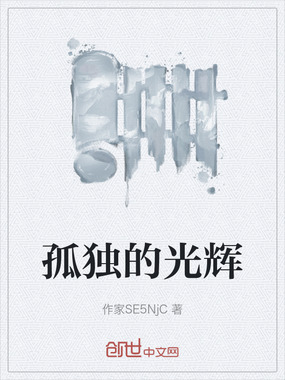 孤独的光辉在线阅读