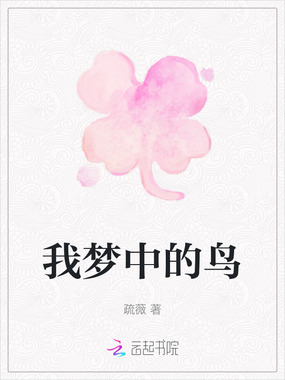 我梦中的鸟在线阅读
