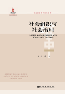 社会组织与社会治理