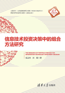 信息技術投資決策中的組合方法研究