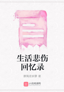 生活悲傷回憶錄