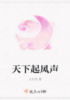 天下起風(fēng)聲在線閱讀