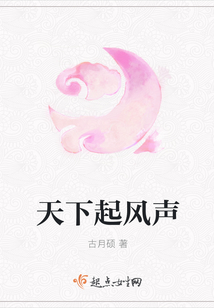 天下起風(fēng)聲