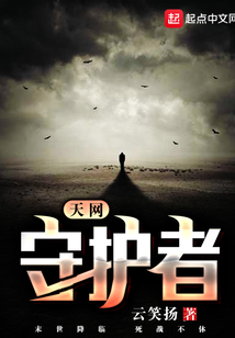 天網(wǎng)守護(hù)者