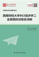 2020年西南财经大学802经济学二全真模拟试卷及详解