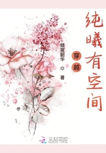 穿越纯曦有空间