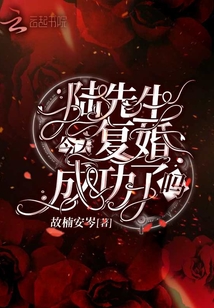 陸先生今天復婚成功了嗎
