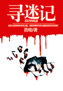 尋謎記