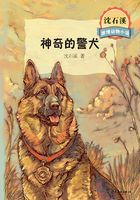 沈石溪激情动物小说·神奇的警犬在线阅读