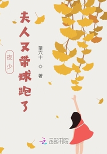 夜少，夫人又帶球跑了
