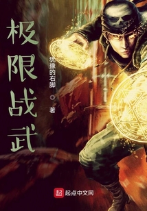 极限战武