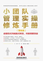 小团队管理实操修炼手册(落地版)在线阅读