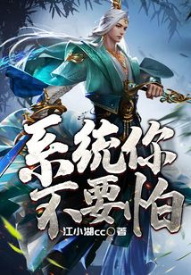 系統(tǒng)你不要怕