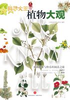 科学大王：植物大观在线阅读