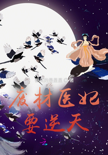 廢材醫(yī)妃要逆天