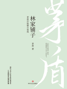 林家铺子：茅盾中短篇小说选